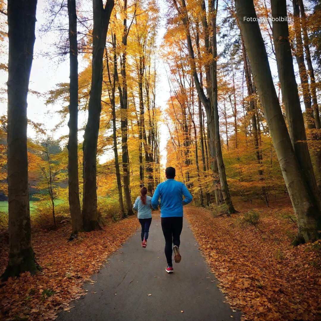 Teilnehmer des Stadtwaldlaufs in Fürth genießen die Laufstrecke durch den herbstlichen Stadtwald.