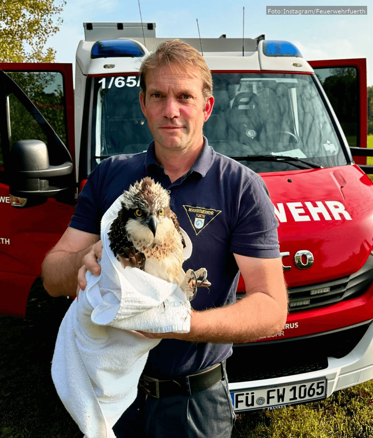 Ein Fischadler, der an der Pegnitz gerettet wurde, wird in die Greifvogel-Auffangstation Hussong gebracht.